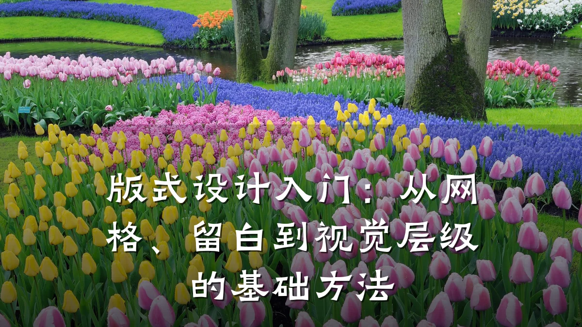 版式设计入门:从网格、留白到视觉层级的基础方法