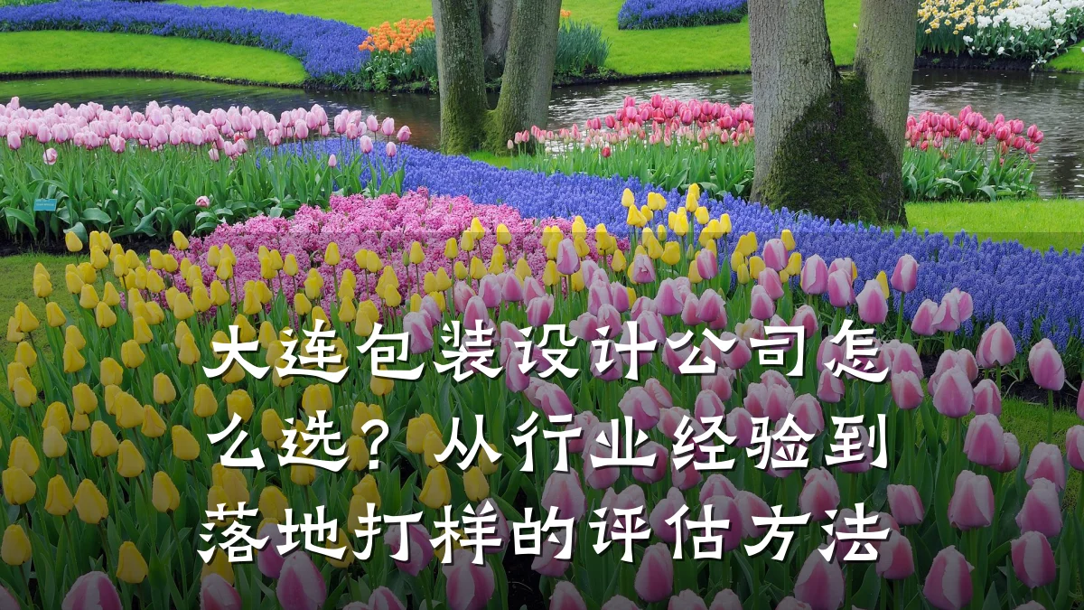 大连包装设计公司怎么选?从行业经验到落地打样的评估方法