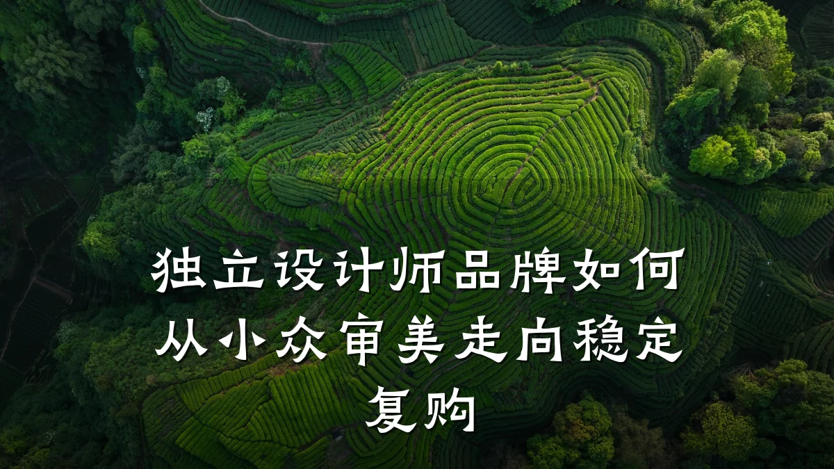 独立设计师品牌如何从小众审美走向稳定复购