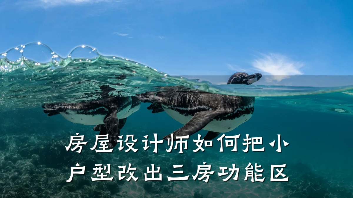 房屋设计师如何把小户型改出三房功能区