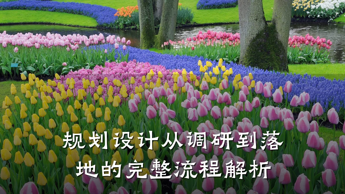 规划设计从调研到落地的完整流程解析
