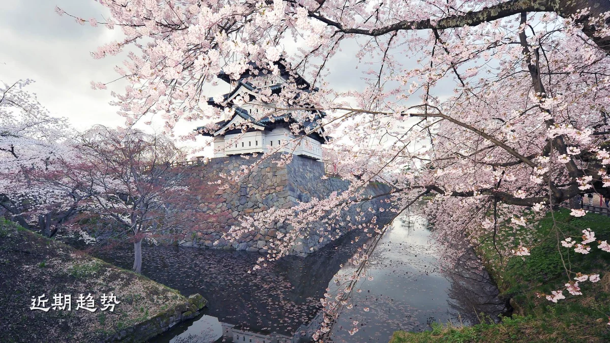 近期趋势