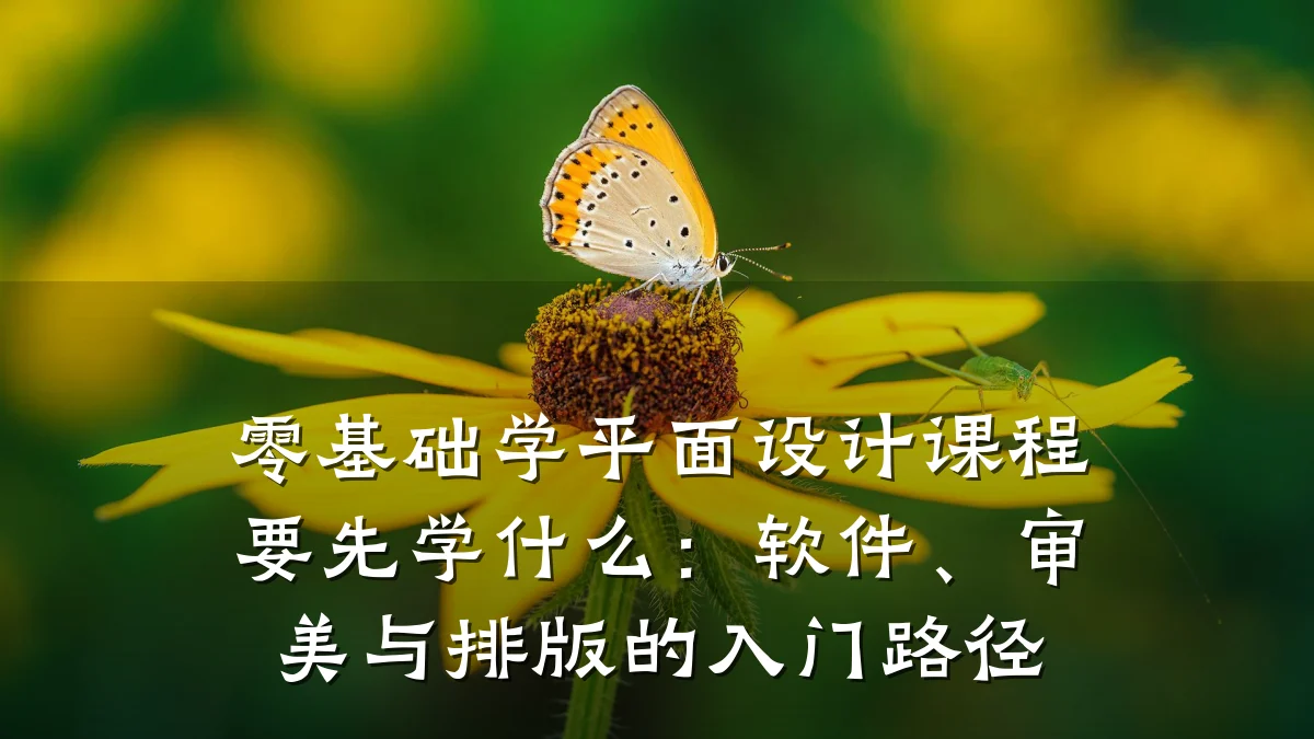 零基础学平面设计课程要先学什么:软件、审美与排版的入门路径