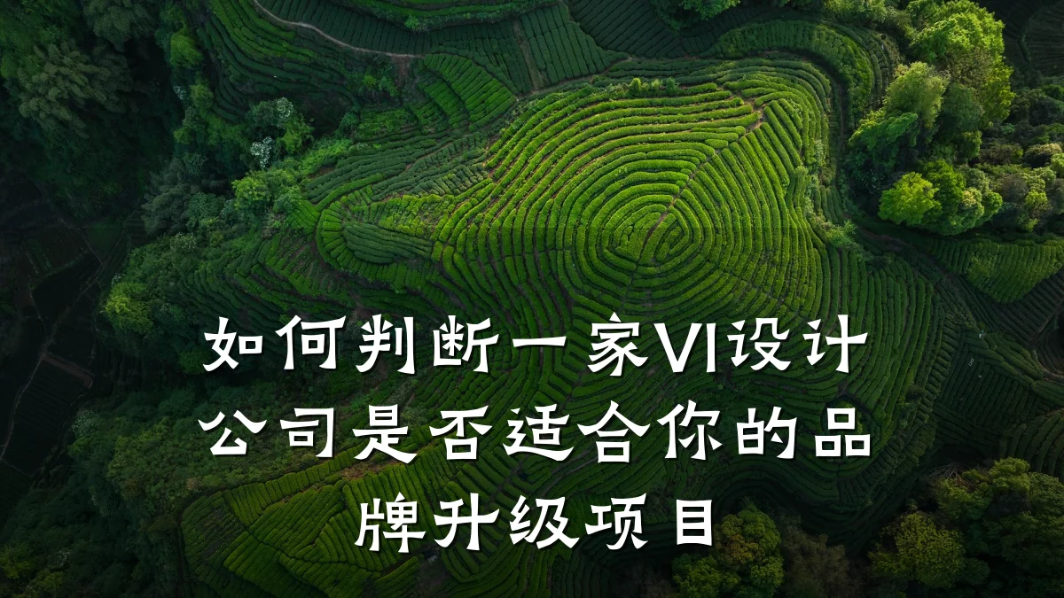 如何判断一家VI设计公司是否适合你的品牌升级项目
