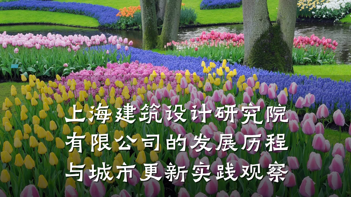 上海建筑设计研究院有限公司的发展历程与城市更新实践观察