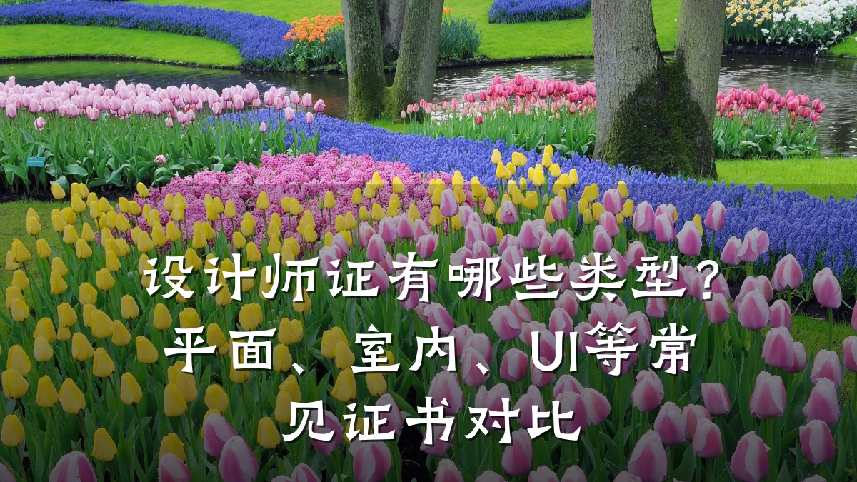 设计师证有哪些类型?平面、室内、UI等常见证书对比
