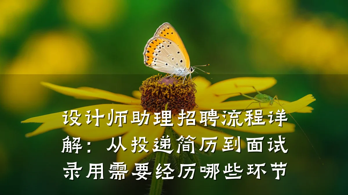 设计师助理招聘流程详解：从投递简历到面试录用需要经历哪些环节