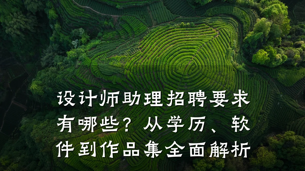设计师助理招聘要求有哪些？从学历、软件到作品集全面解析