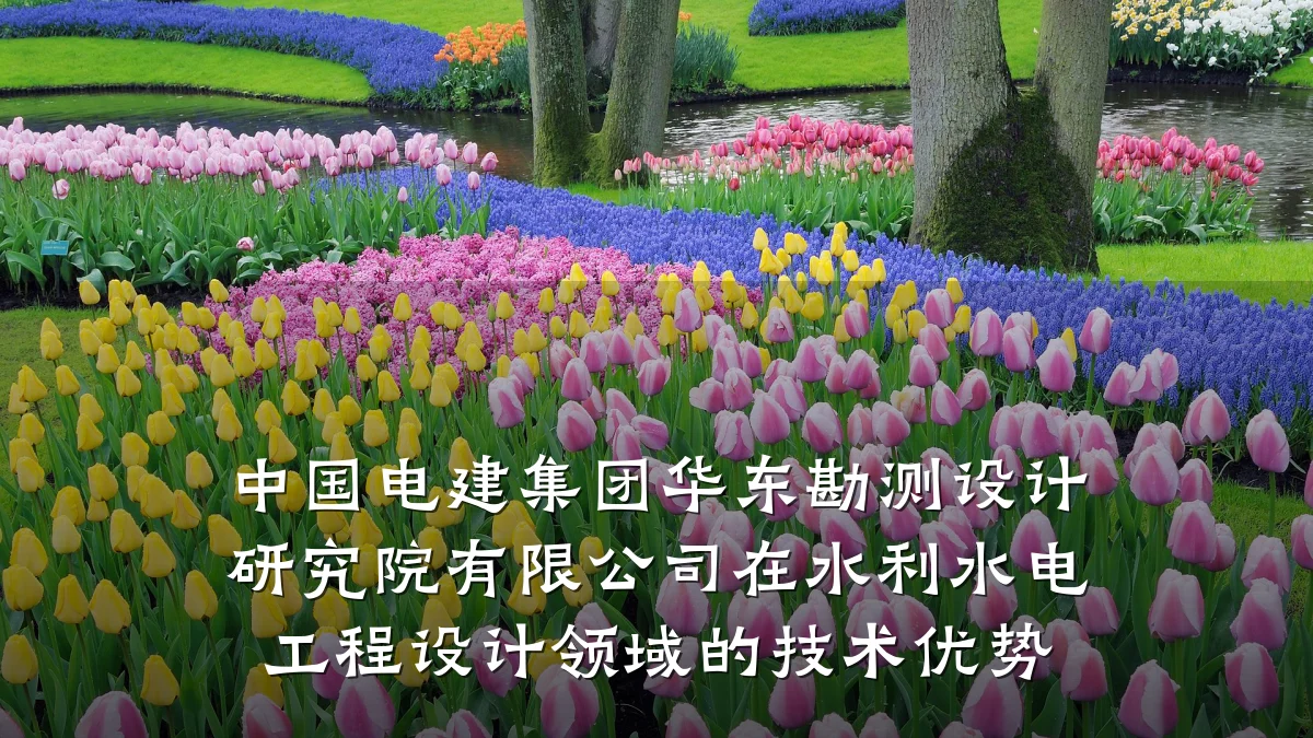 中国电建集团华东勘测设计研究院有限公司在水利水电工程设计领域的技术优势