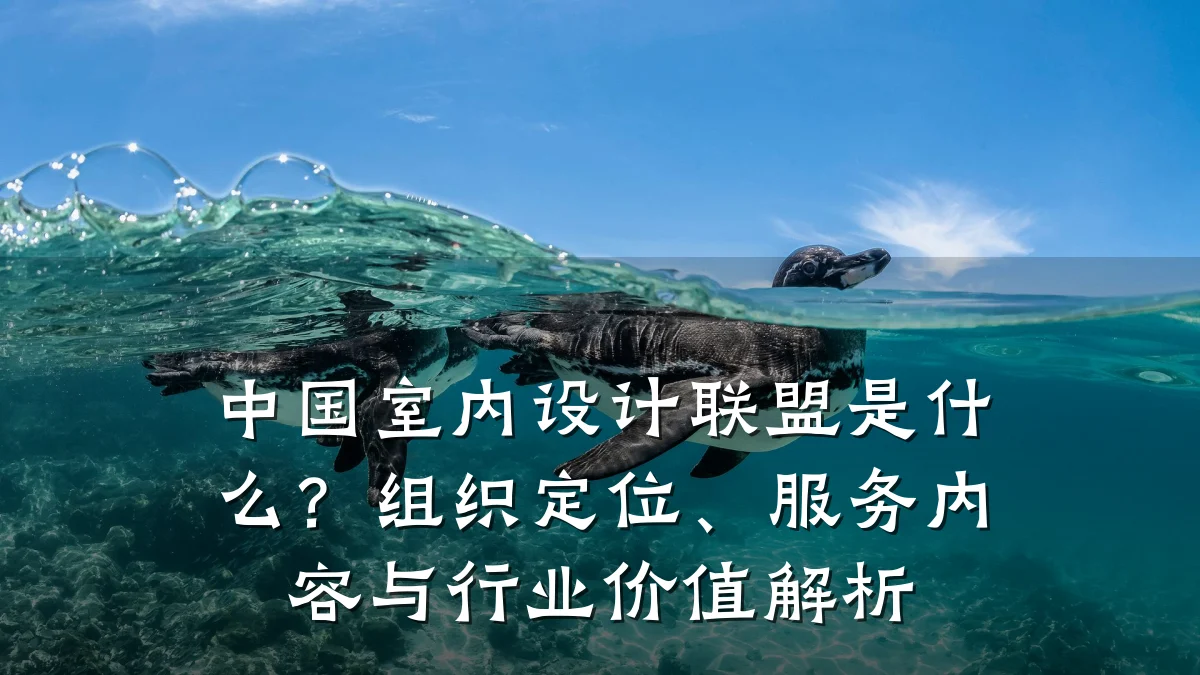 中国室内设计联盟是什么?组织定位、服务内容与行业价值解析