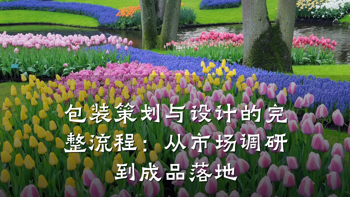 包装策划与设计的完整流程:从市场调研到成品落地
