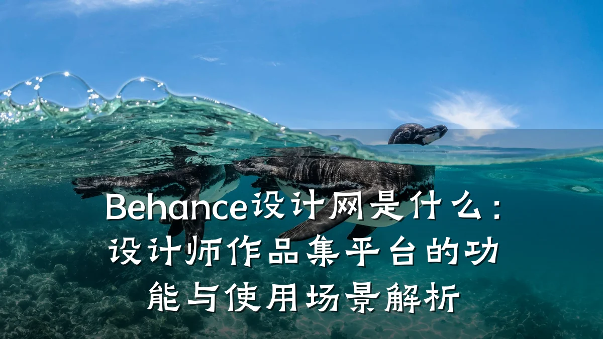 Behance设计网是什么:设计师作品集平台的功能与使用场景解析