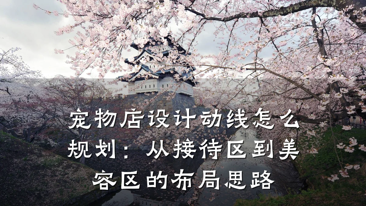 宠物店设计动线怎么规划:从接待区到美容区的布局思路