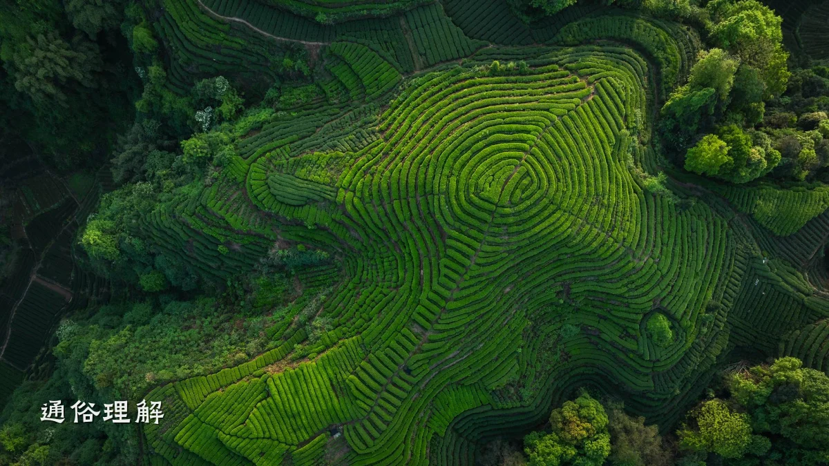 通俗理解