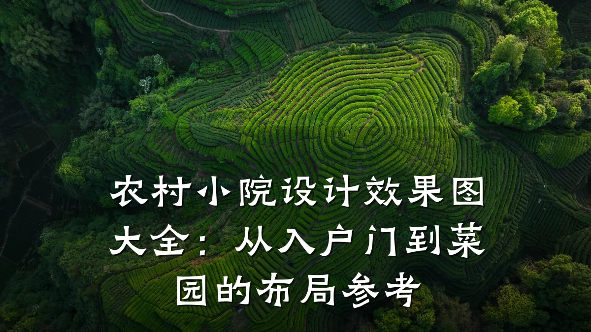 农村小院设计效果图大全:从入户门到菜园的布局参考