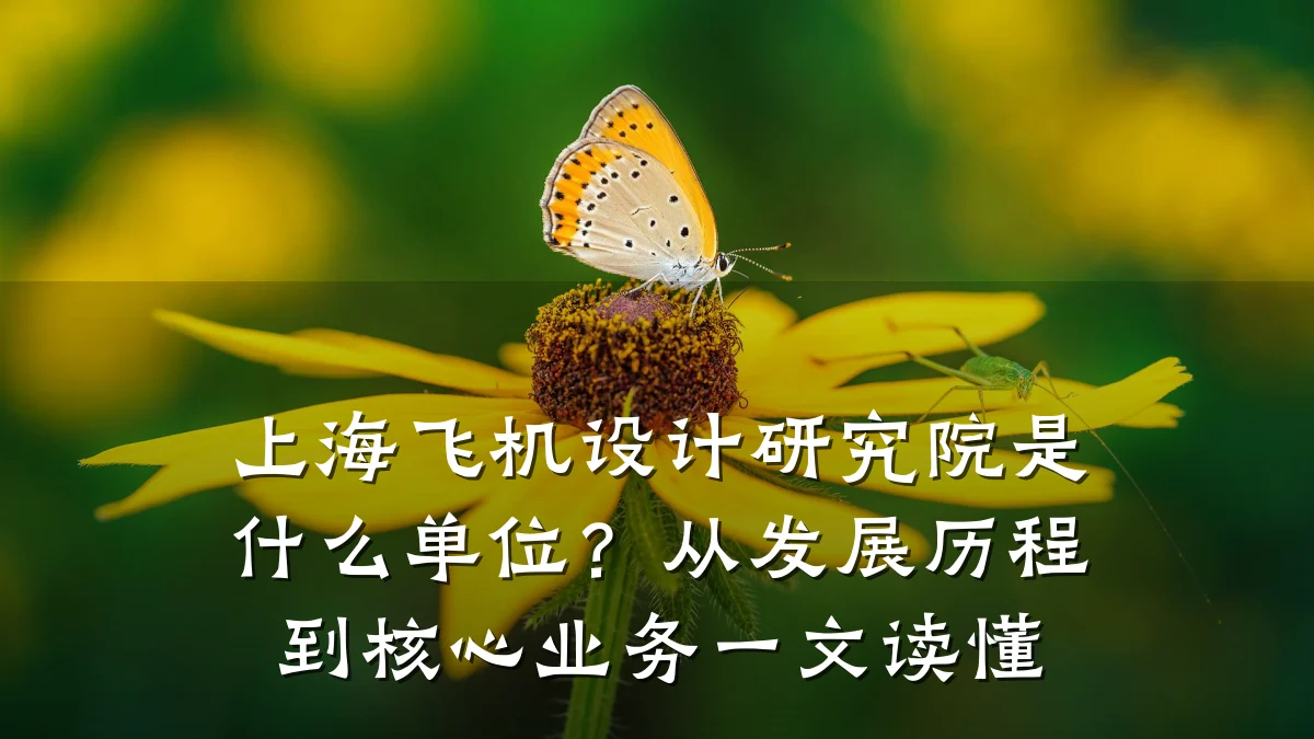 上海飞机设计研究院是什么单位？从发展历程到核心业务一文读懂