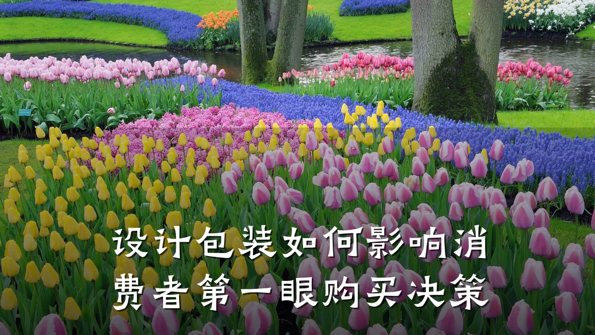 设计包装如何影响消费者第一眼购买决策