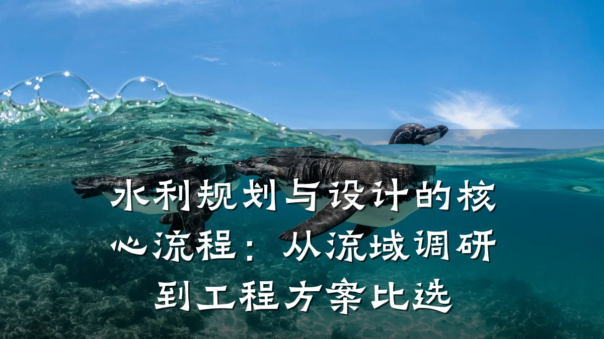 水利规划与设计的核心流程：从流域调研到工程方案比选