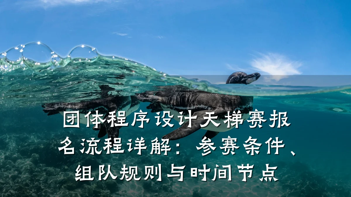 团体程序设计天梯赛报名流程详解:参赛条件、组队规则与时间节点