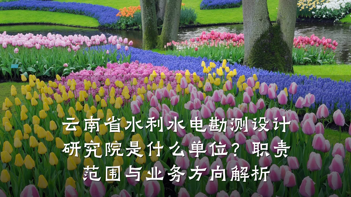 云南省水利水电勘测设计研究院是什么单位？职责范围与业务方向解析