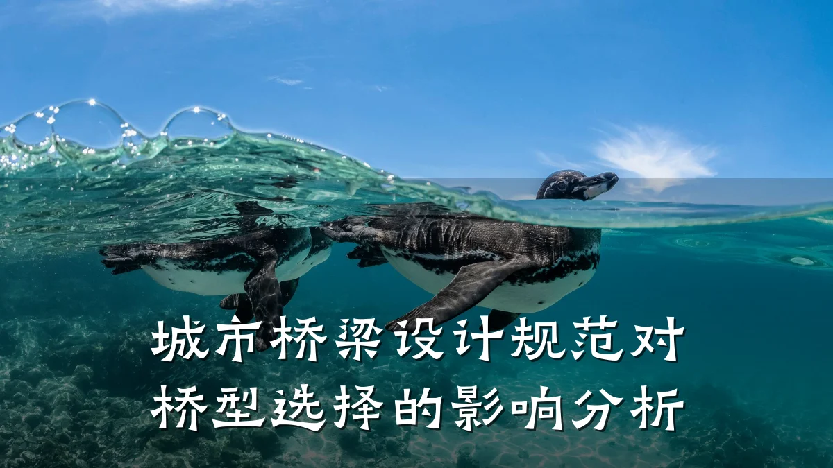 城市桥梁设计规范对桥型选择的影响分析