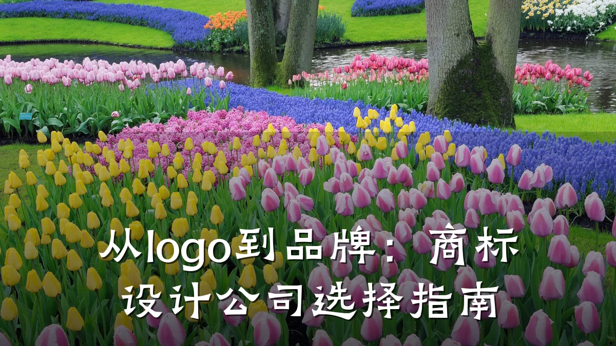 从logo到品牌:商标设计公司选择指南