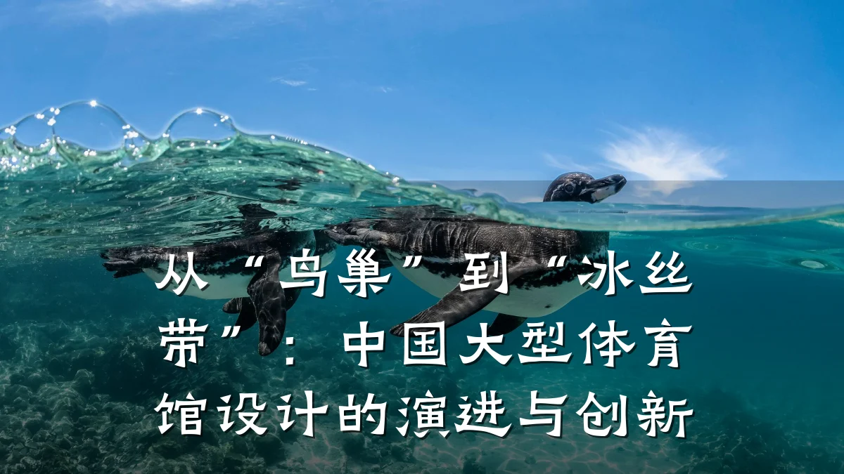 从“鸟巢”到“冰丝带”:中国大型体育馆设计的演进与创新