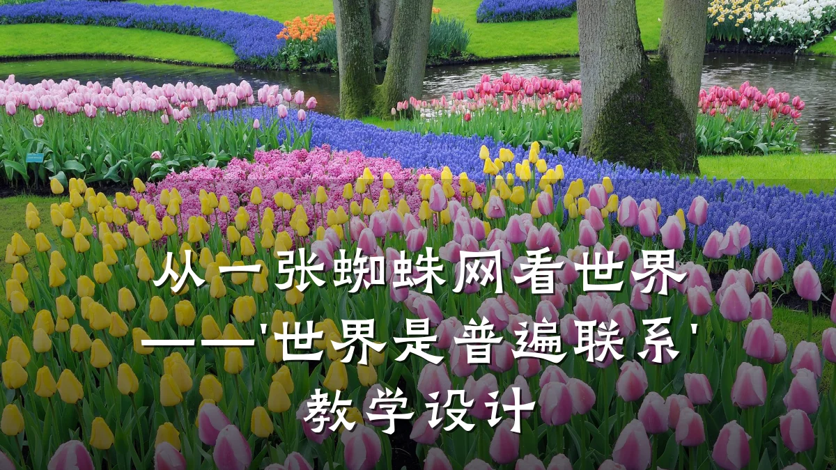 从一张蜘蛛网看世界——'世界是普遍联系'教学设计