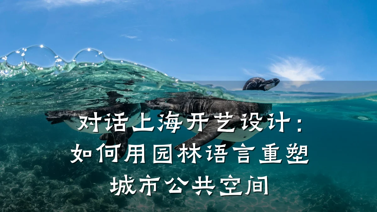 对话上海开艺设计:如何用园林语言重塑城市公共空间