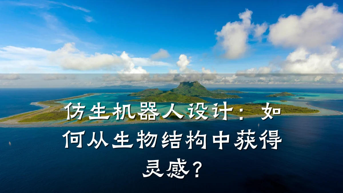 仿生机器人设计:如何从生物结构中获得灵感?