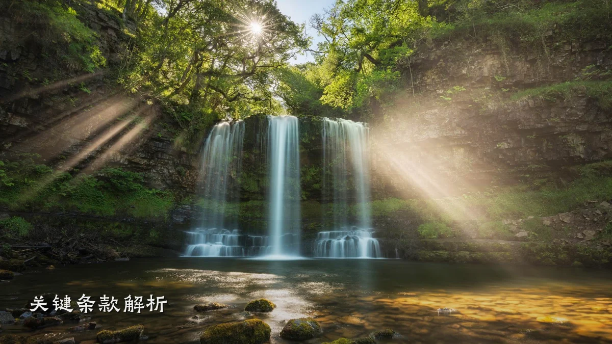关键条款解析