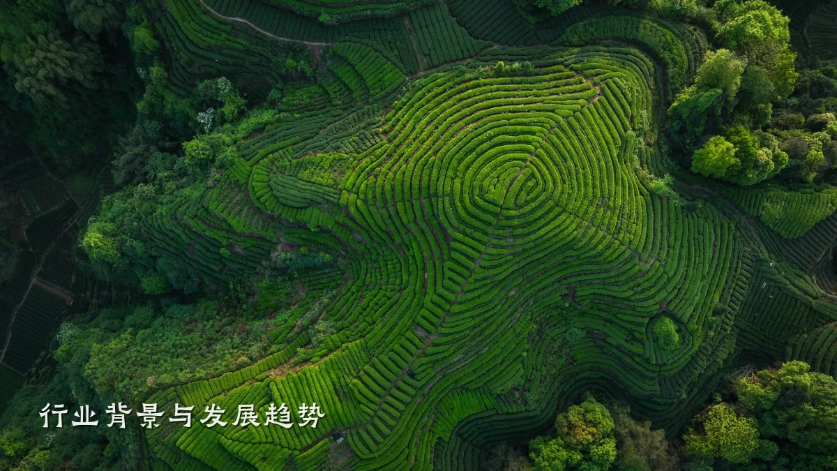 行业背景与发展趋势