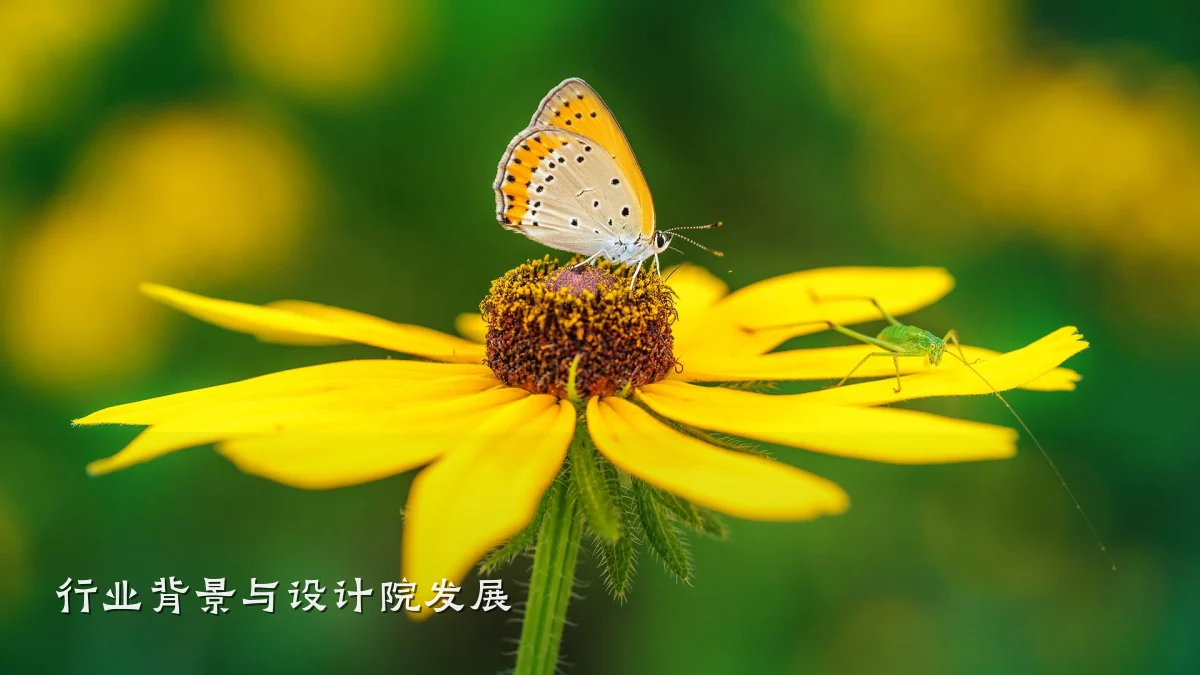 行业背景与设计院发展