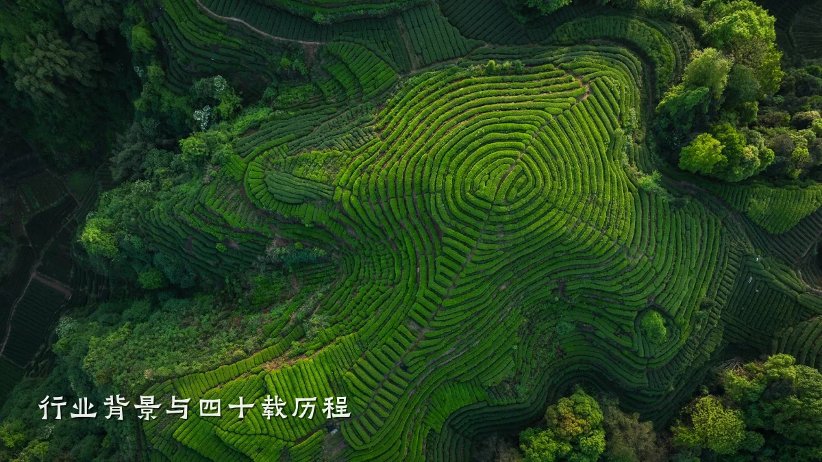 行业背景与四十载历程