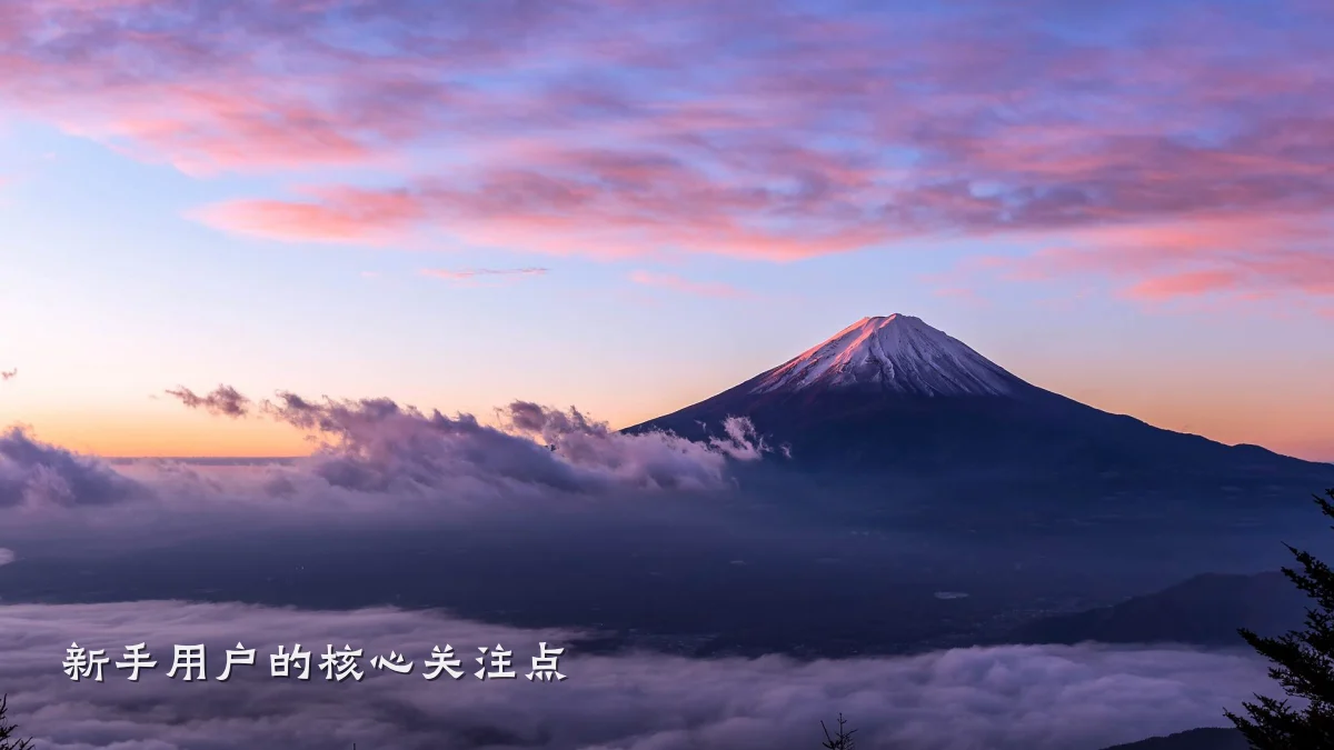 新手用户的核心关注点