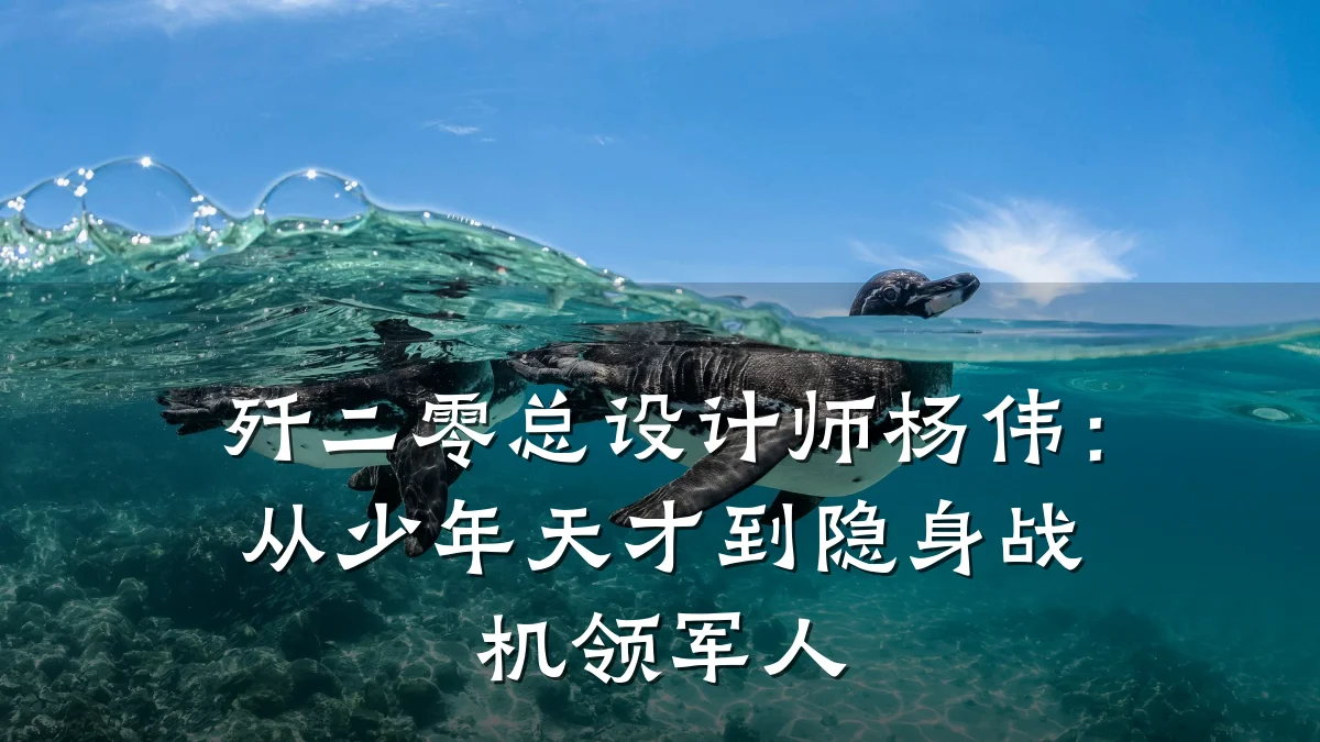 歼二零总设计师杨伟:从少年天才到隐身战机领军人