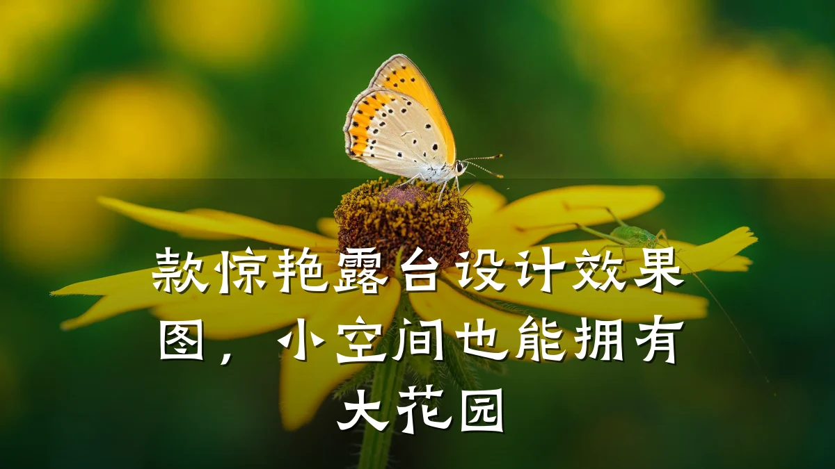 款惊艳露台设计效果图,小空间也能拥有大花园