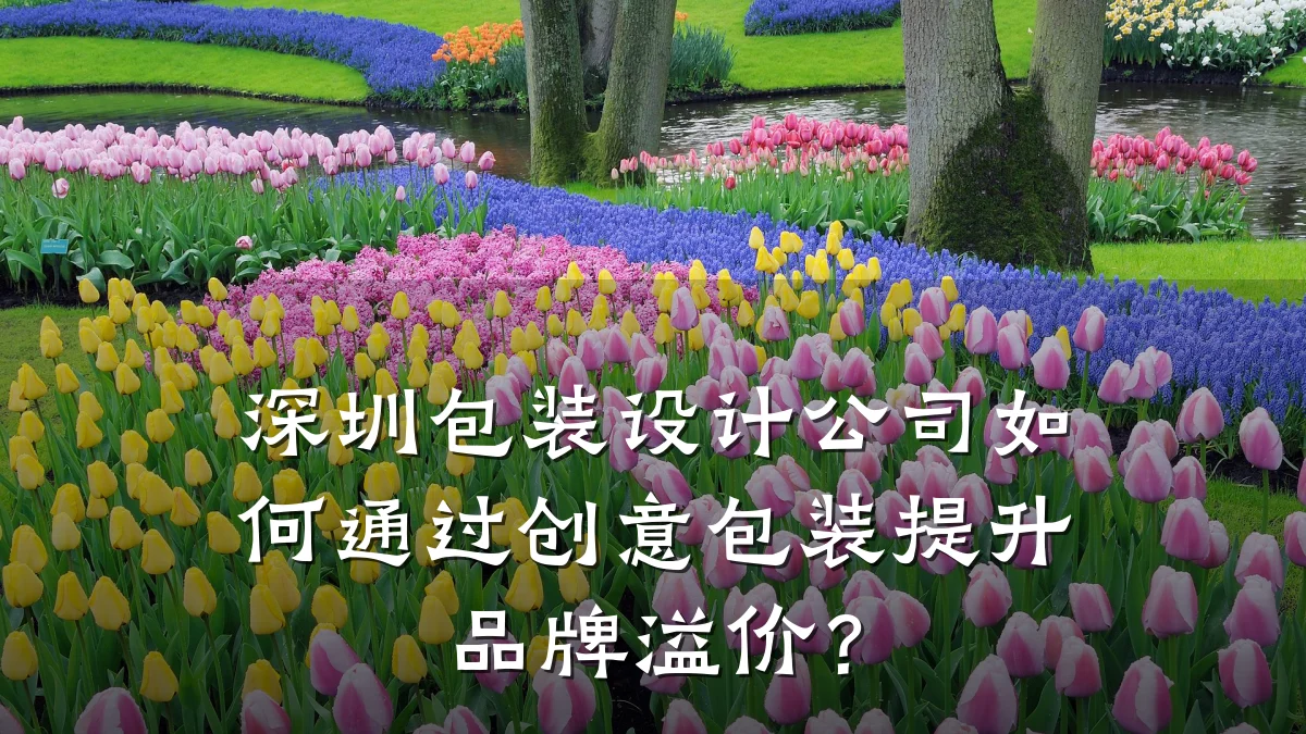 深圳包装设计公司如何通过创意包装提升品牌溢价?