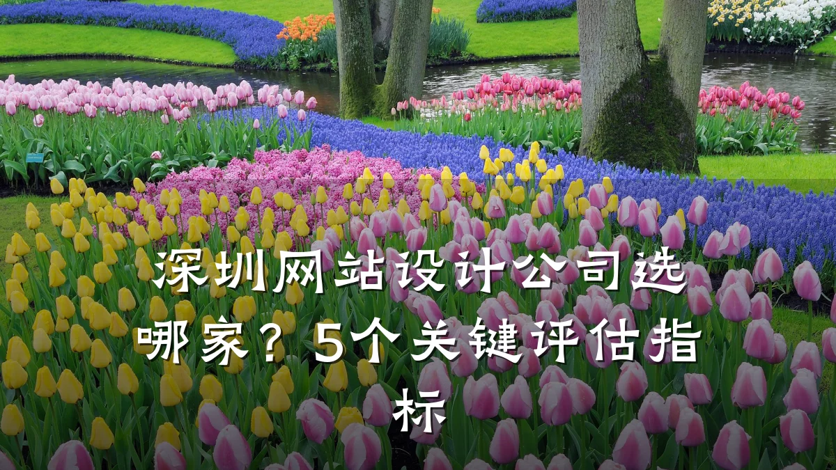 深圳网站设计公司选哪家？5个关键评估指标