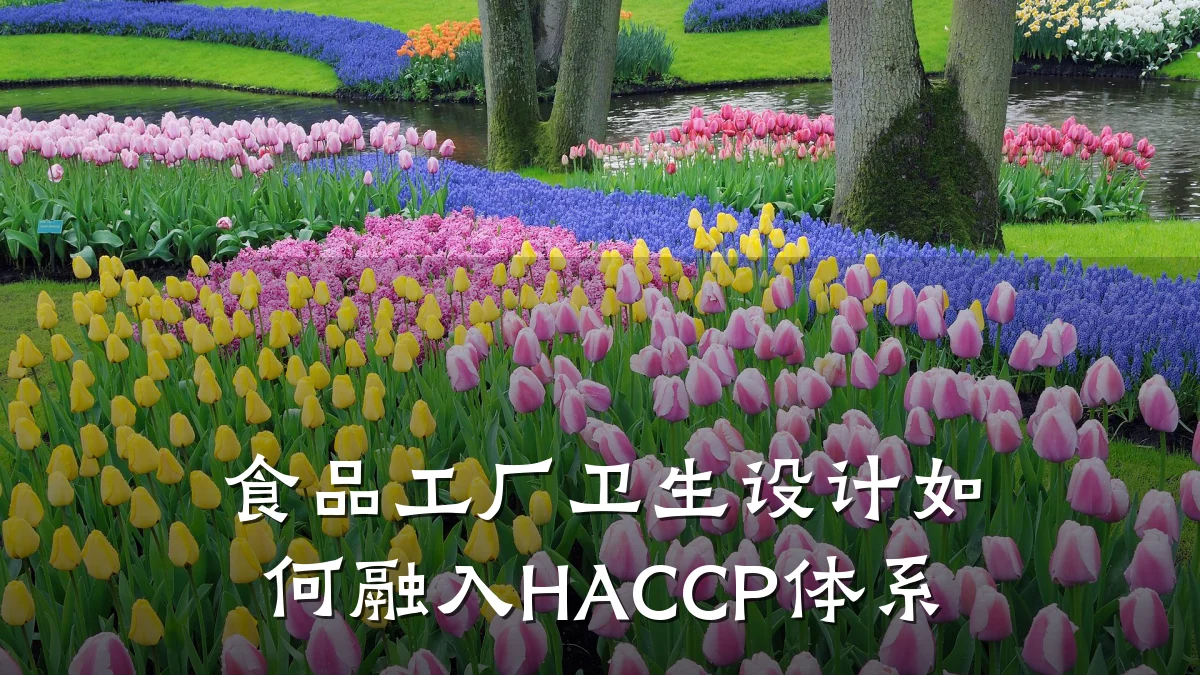 食品工厂卫生设计如何融入HACCP体系
