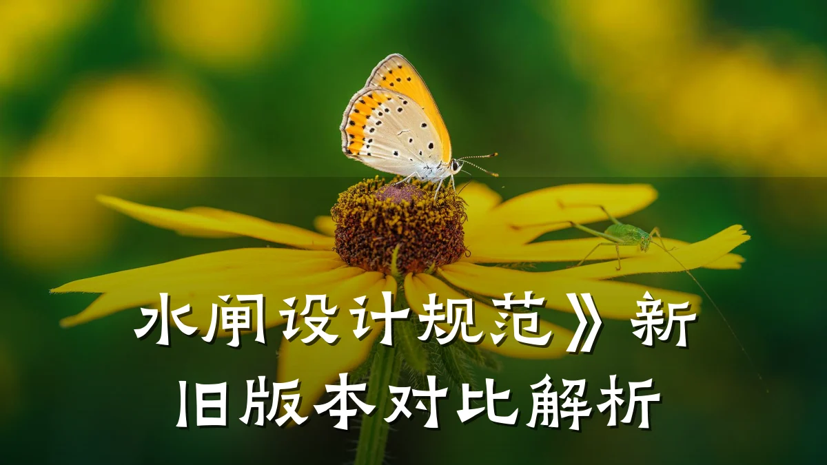水闸设计规范》新旧版本对比解析