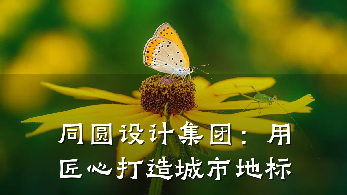 同圆设计集团:用匠心打造城市地标