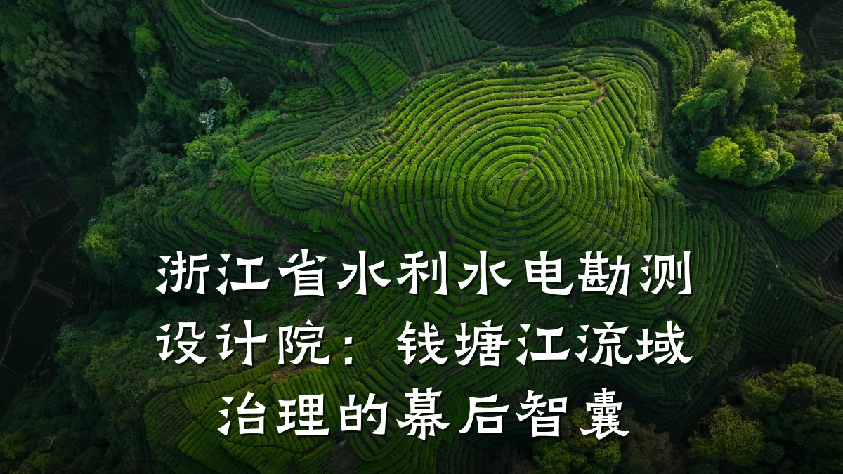 浙江省水利水电勘测设计院:钱塘江流域治理的幕后智囊