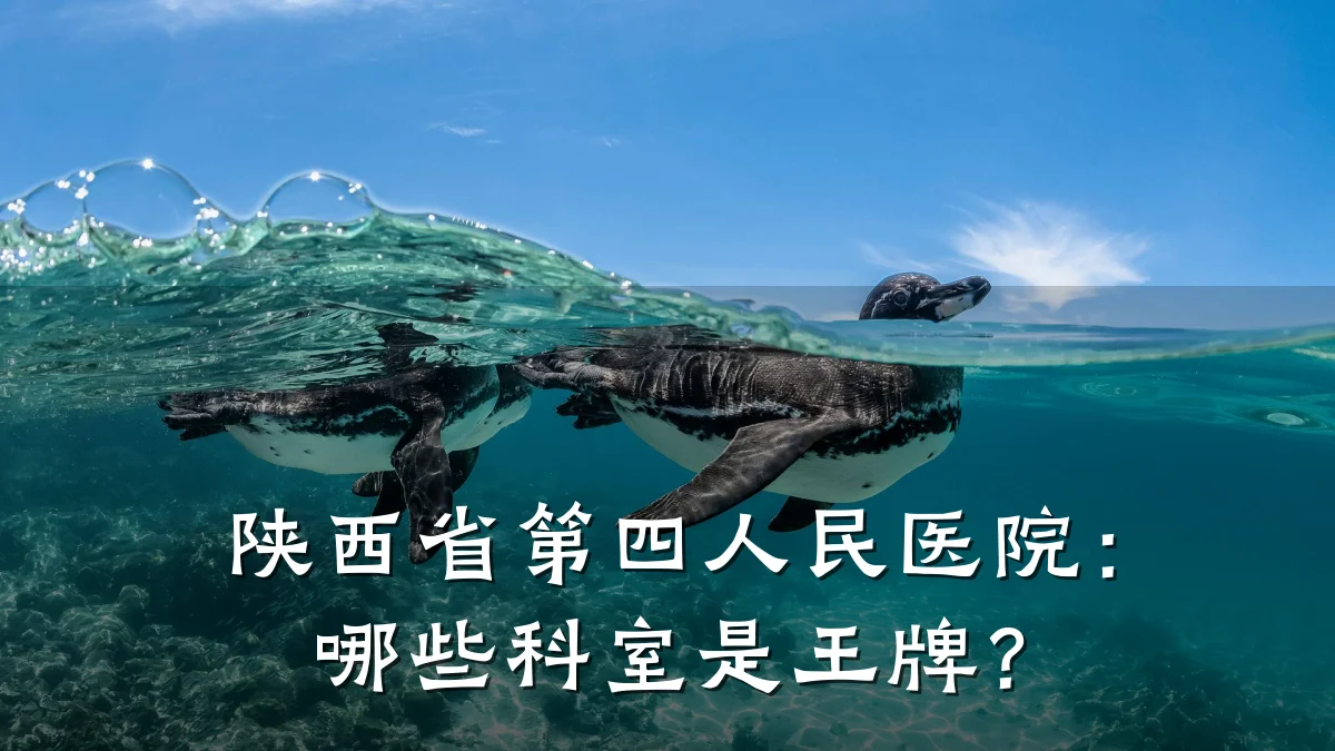 陕西省第四人民医院:哪些科室是王牌?
