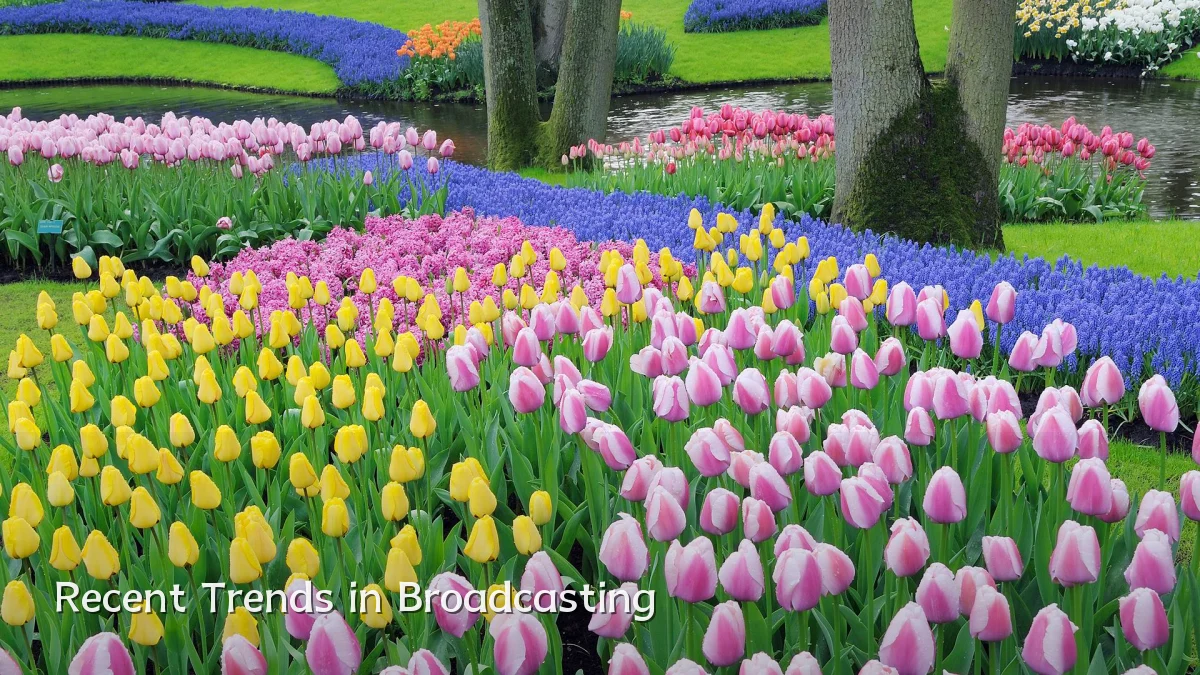 Recent Trends in Broadcasting