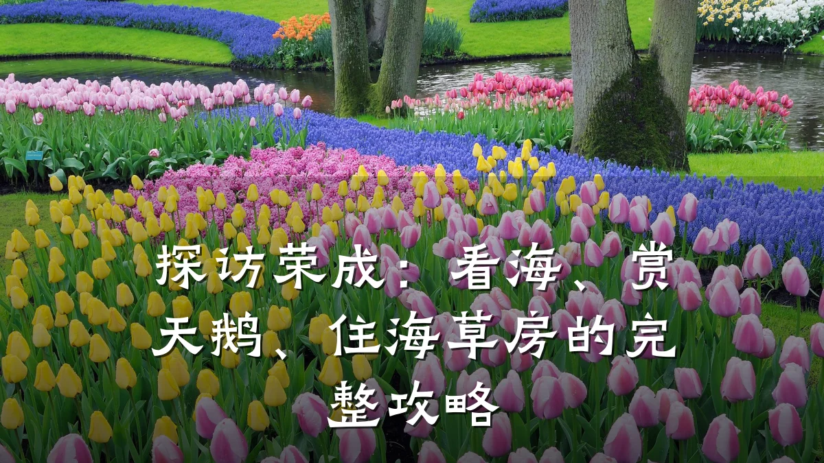 探访荣成:看海、赏天鹅、住海草房的完整攻略