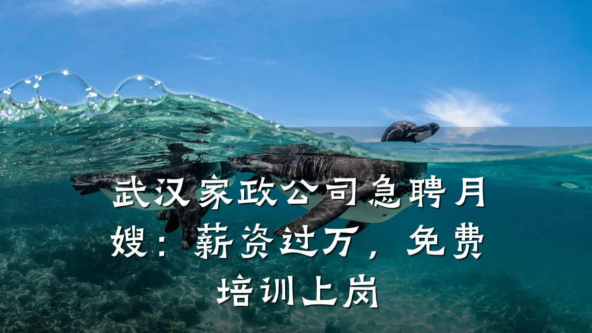 武汉家政公司急聘月嫂：薪资过万，免费培训上岗