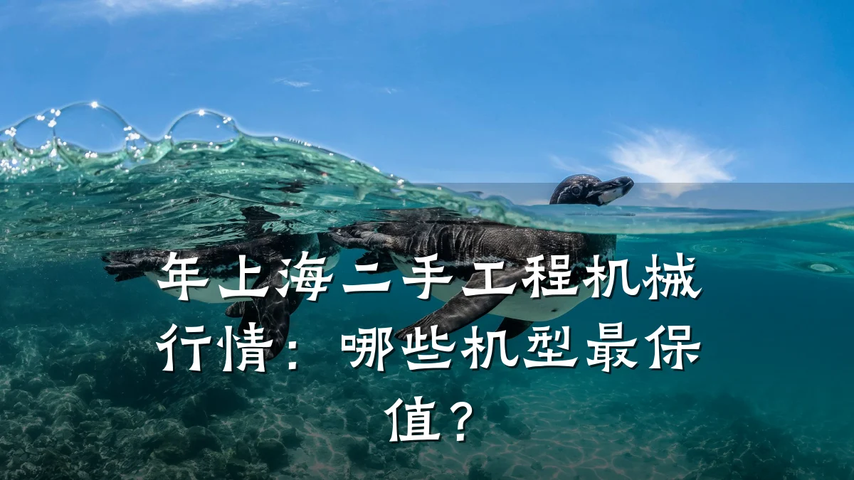 年上海二手工程机械行情：哪些机型最保值？