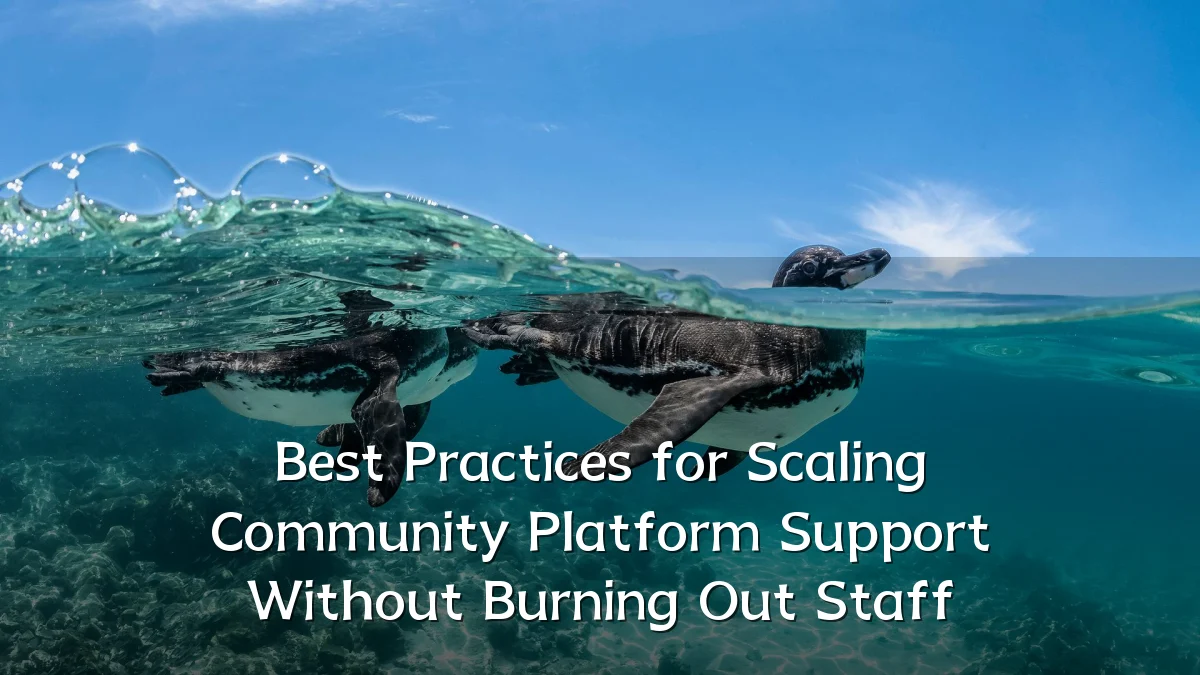 Best Practices for Scaling Community Platform Support Without Burning Out Staff