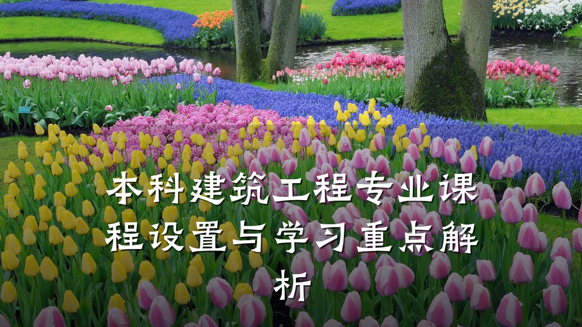 本科建筑工程专业课程设置与学习重点解析